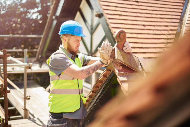 Best Roof Maintenance Services  in Mogul, NV