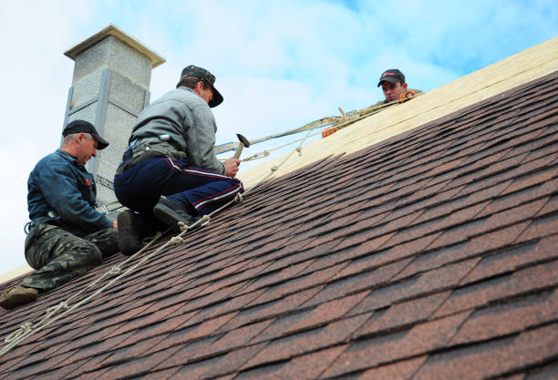 Gutter Installation and Roofing in Mogul, NV